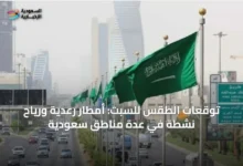 توقعات-الطقس-للسبت:-أمطار-رعدية-ورياح-نشطة-في-عدة-مناطق-سعودية