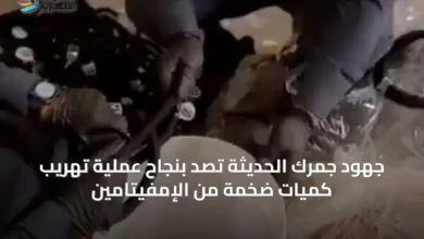 جهود-جمرك-الحديثة-تصدّ-بنجاح-عملية-تهريب-كميات-ضخمة-من-الإمفيتامين