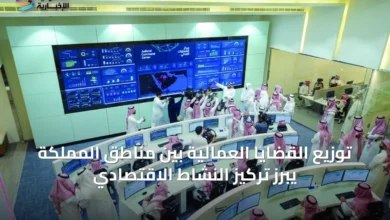 توزيع-القضايا-العمالية-بين-مناطق-المملكة-يبرز-تركيز-النشاط-الاقتصادي