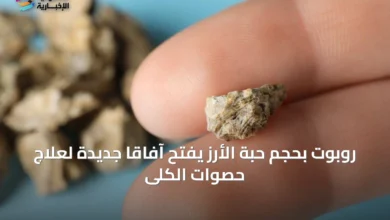 روبوت-بحجم-حبة-الأرز-يفتح-آفاقاً-جديدة-لعلاج-حصوات-الكلى