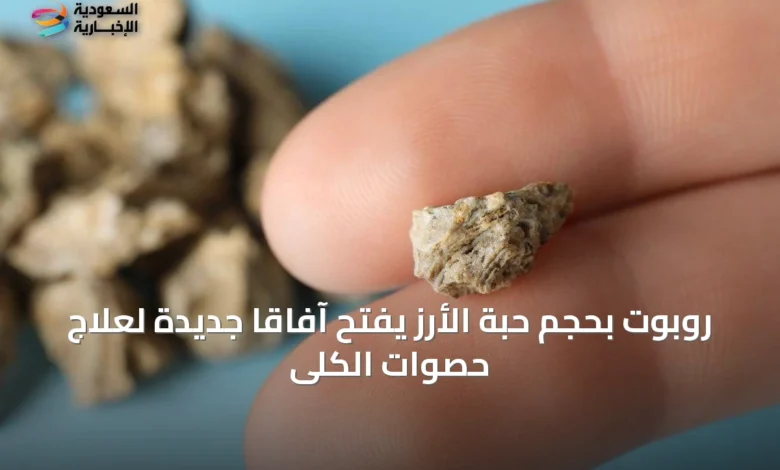 روبوت-بحجم-حبة-الأرز-يفتح-آفاقاً-جديدة-لعلاج-حصوات-الكلى