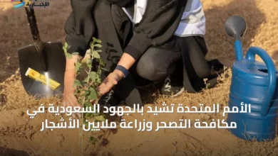 الأمم-المتحدة-تشيد-بالجهود-السعودية-في-مكافحة-التصحر-وزراعة-ملايين-الأشجار
