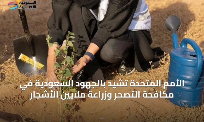 الأمم-المتحدة-تشيد-بالجهود-السعودية-في-مكافحة-التصحر-وزراعة-ملايين-الأشجار