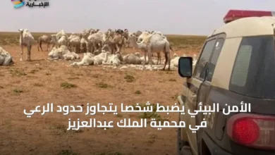 الأمن-البيئي-يضبط-شخصًا-يتجاوز-حدود-الرعي-في-محمية-الملك-عبدالعزيز