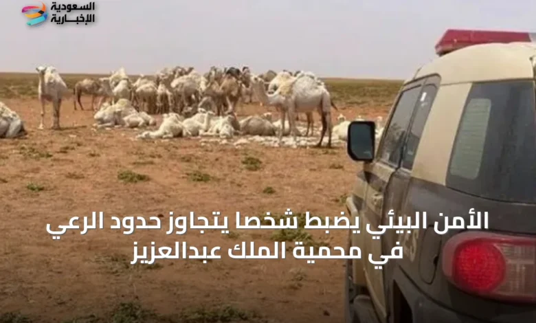 الأمن-البيئي-يضبط-شخصًا-يتجاوز-حدود-الرعي-في-محمية-الملك-عبدالعزيز