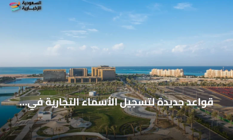 قواعد-جديدة-لتسجيل-الأسماء-التجارية-في-المناطق-الاقتصادية-الخاصة