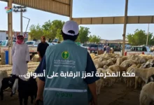 مكة-المكرمة-تعزز-الرقابة-على-أسواق-الماشية-لضمان-سلامة-المستهلك-ودعم-الأمن-الغذائي