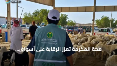 مكة-المكرمة-تعزز-الرقابة-على-أسواق-الماشية-لضمان-سلامة-المستهلك-ودعم-الأمن-الغذائي