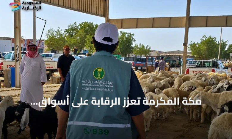 مكة-المكرمة-تعزز-الرقابة-على-أسواق-الماشية-لضمان-سلامة-المستهلك-ودعم-الأمن-الغذائي
