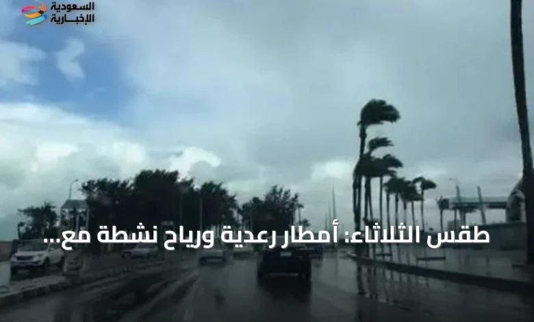 طقس-الثلاثاء:-أمطار-رعدية-ورياح-نشطة-مع-ارتفاع-درجات-الحرارة-في-مناطق-متعددة