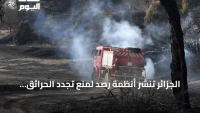 الجزائر-تنشر-أنظمة-رصد-لمنع-تجدد-الحرائق-بعد-إخماد-معظمها